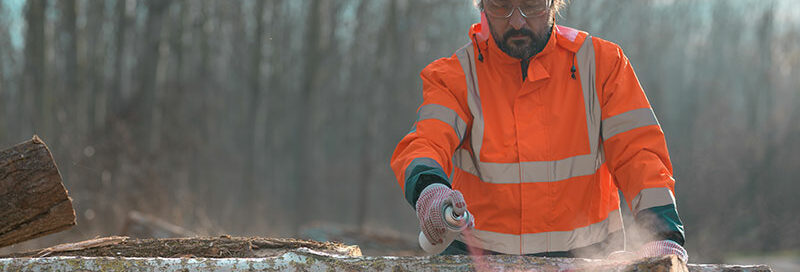 Ein Waldarbeiter macht eine Baummarkierung mit einer Spraydose