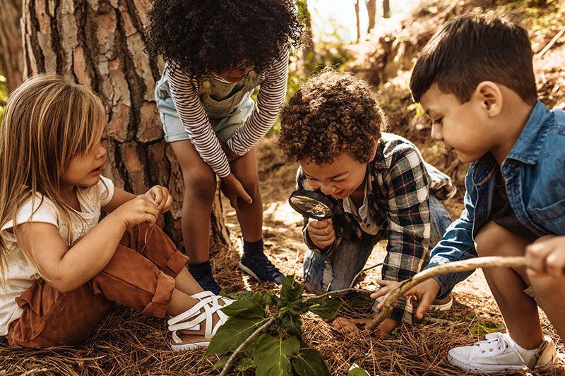 Erlebnispädagogik wird mit Kindern spielerisch im Wald umgesetzt