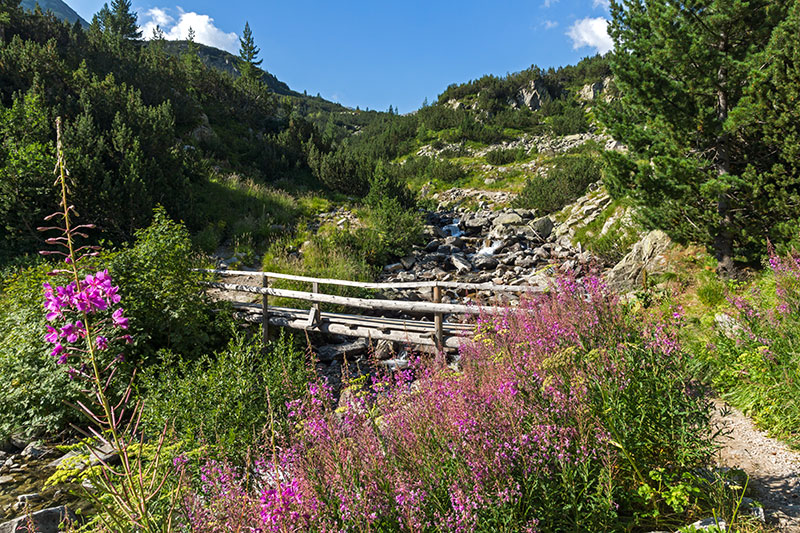 Naturpark Bulgarien