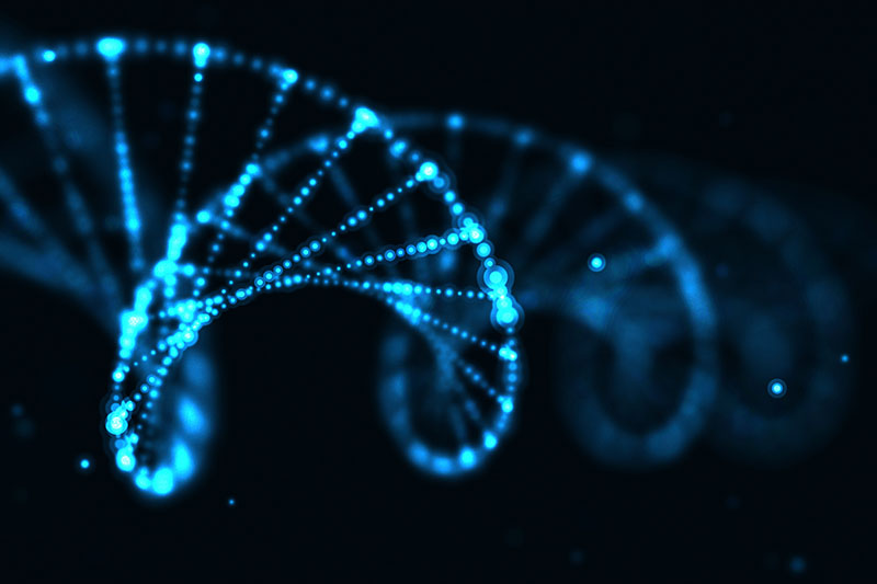 DNA Helix