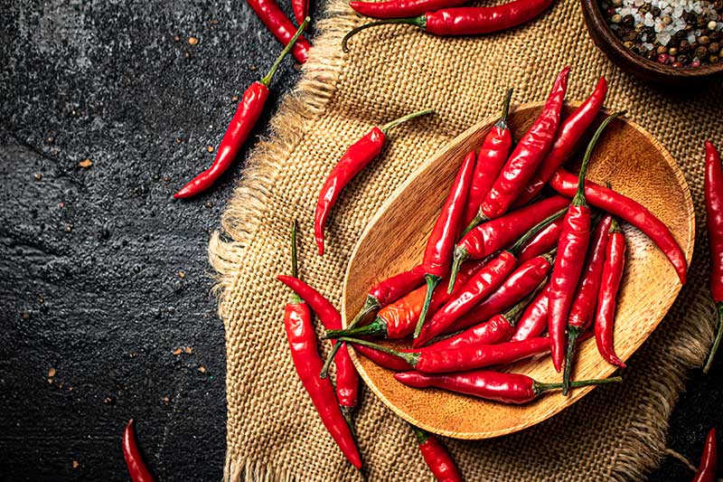 Rotes Chilli