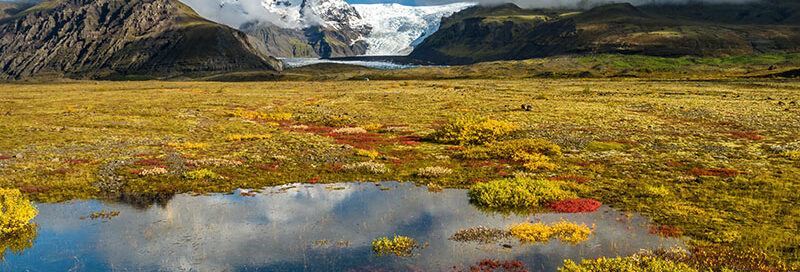 Tundra Taiga in Südisland mit Berge im Herbst