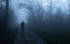 Wanderer orientiert sich im Wald in der Nacht