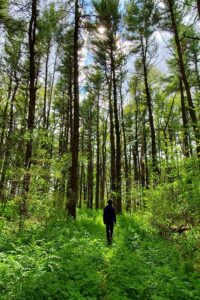 Wanderer steht achtsam im Wald