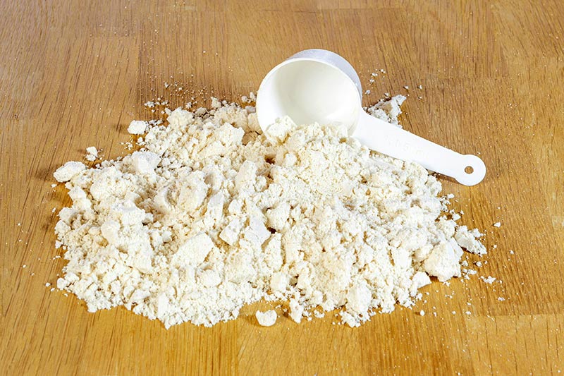 Milchpulver und Proteinquelle